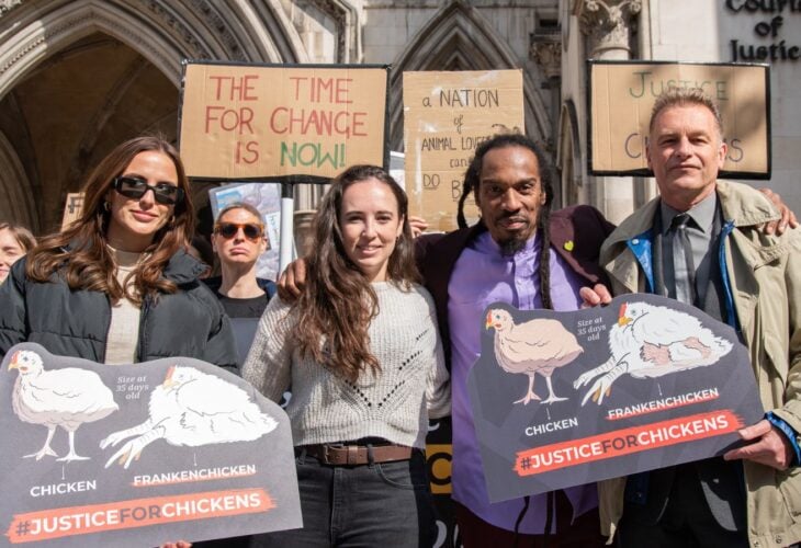 Lucy Watson, Benjamin Zephaniah, and Chris Packham stand outside High Court with signs reading: "Justice for Chickens"