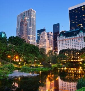 New York's central park, which is now host to a vegan night market